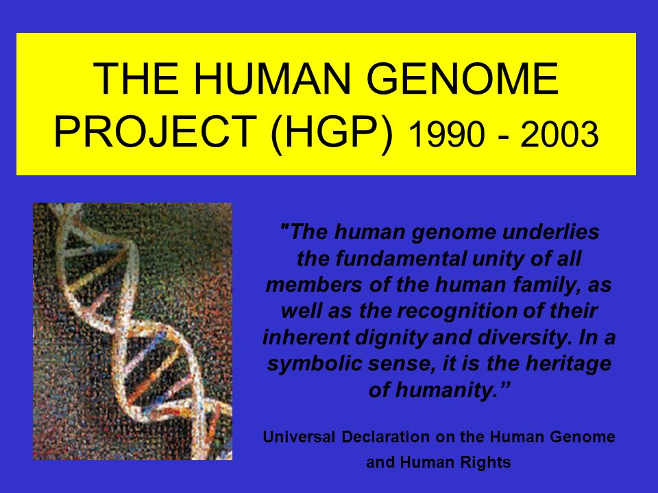 Zoology-Notes-On-–-Human-Genome-Project-–-For-W.B.C.S.-Examination
