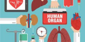 Organ-Transplant-–-Medical-Science-Notes-–-For-W.B.C.S.-Examination