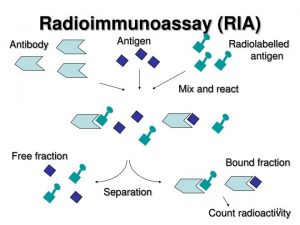 Radioimmunoassay-RIA-–-Medical-Science-Notes-–-For-W.B.C.S.-Examination