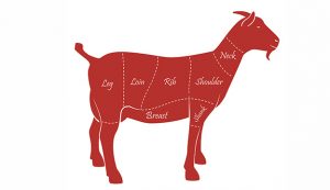 W.B.C.S.-Examination-Notes-On-–-Goat-Products-And-Marketing-–-Animal-Husbandry-Notes.