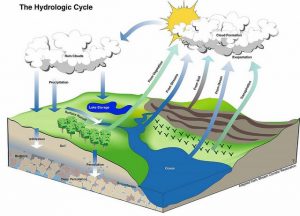 Geology-Notes-On-Hydrology-For-W.B.C.S.-Examination