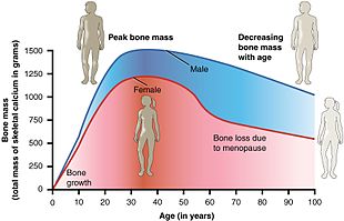 Menopause-In-Human-–-Zoology-Notes-–-For-W.B.C.S.-Examination