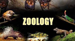 Neoteny-–-Zoology-Notes-–-For-W.B.C.S.-Examination