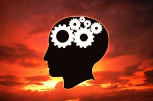 Psychology-Notes-On-–-Types-Of-Delusions-–-For-W.B.C.S.-Examination