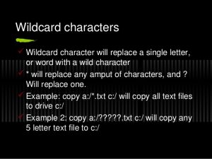 Wild-Card-Character-In-DOS-Computer-Science-Notes-For-W.B.C.S.-Examination