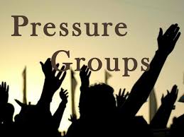 role-of-pressure-group-in-democracy-wbcs