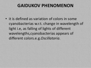 Botany-Notes-On-–-Gaidukov-Phenomenon-–-For-W.B.C.S.-Examination