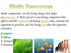 Geography-Notes-On-–-Biotic-Resources-Found-In-India-–-For-W.B.C.S.-Examination