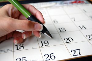 Timetable-For-Working-Professionals-–-For-UPSC-Examination